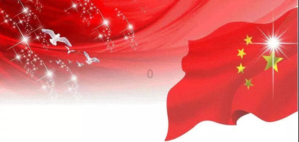 新手怎么要选择猫粮?