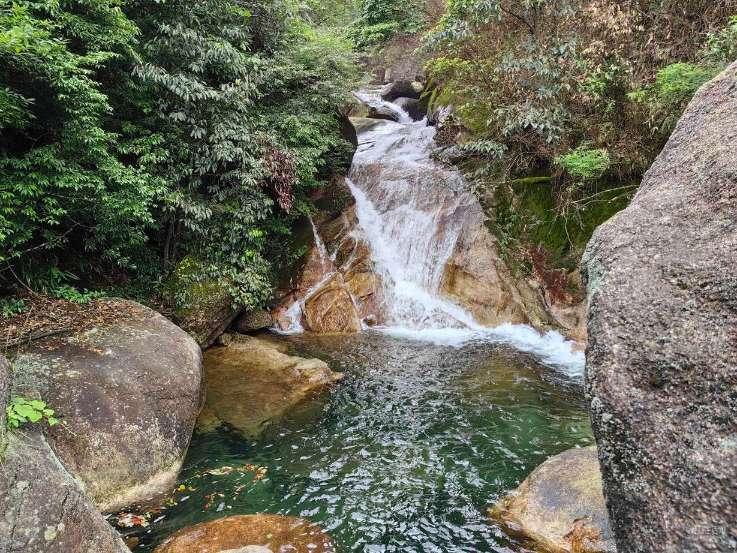 费尔德康复训练,张帆痊愈,北控力争结束连败